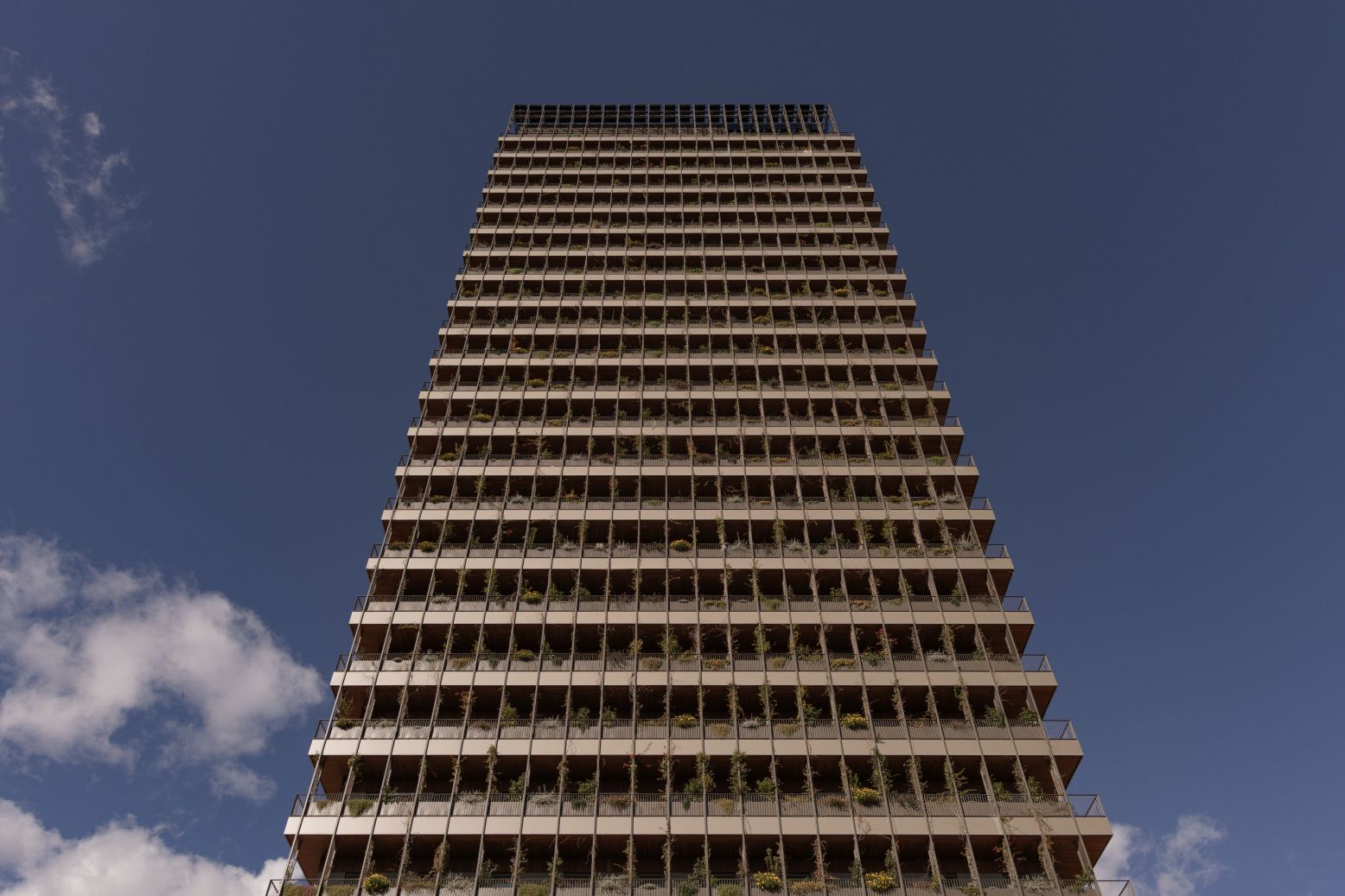 aparto Diagonal Suites
