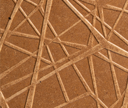 Sculpté Tex