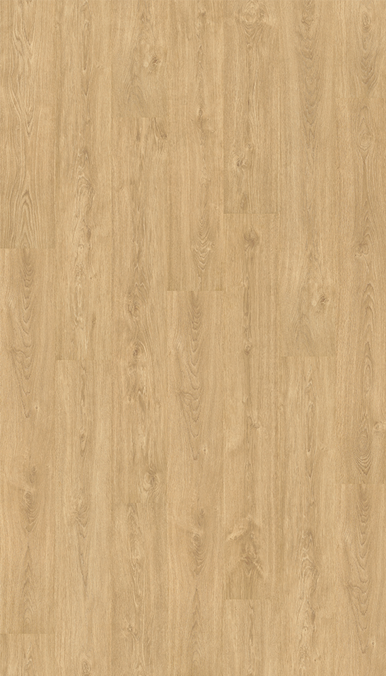 Decorativo 12X Roble Bolonia