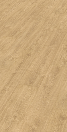Persp. 12X Roble Bolonia