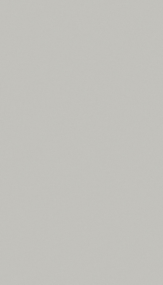 204 Gris I