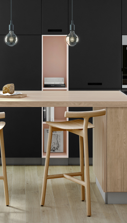 Meio Ambiente 231 Negro