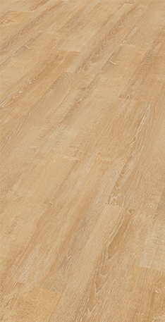 Persp. 40X Roble Sarela