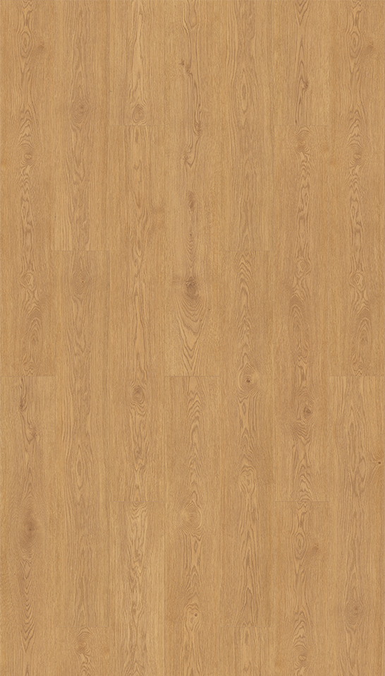 Decorativo 566B Roble Ambar