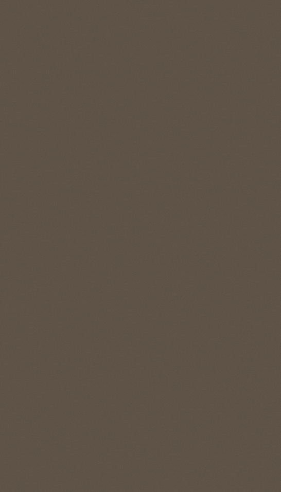 Decorativo 656B Alpaca