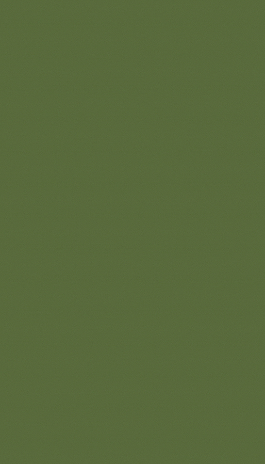 662B Verde Wakame