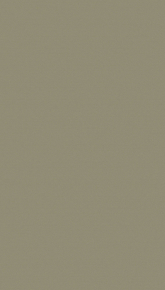 663B Muted Green