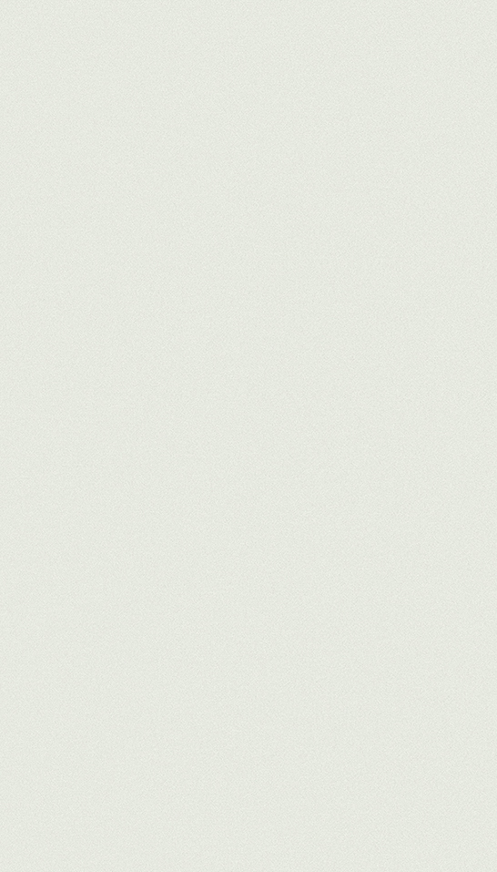 Decorativo 76R Blanco Rueda