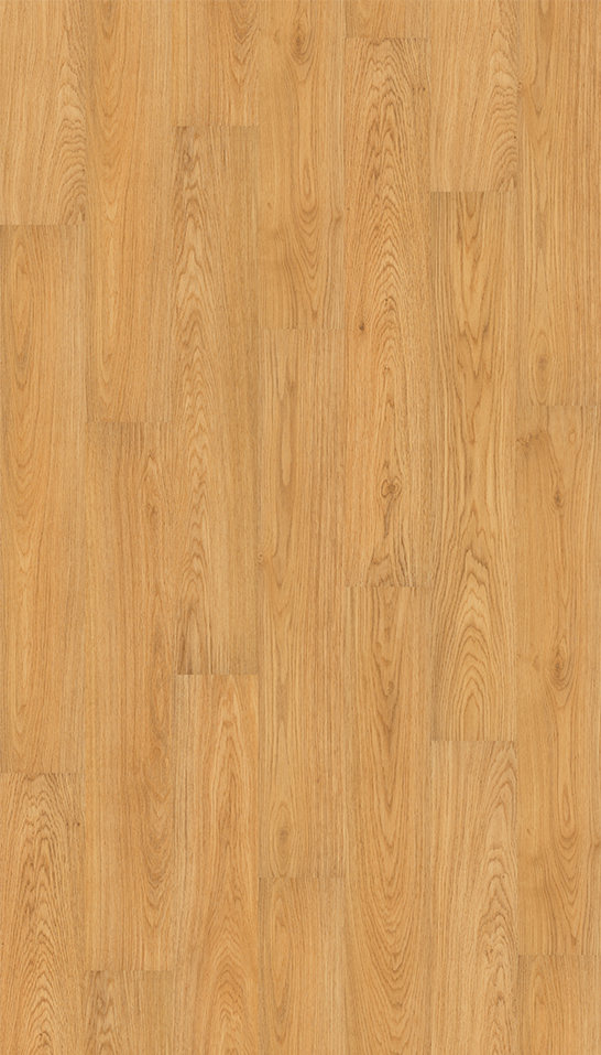 94M Oak 1.2