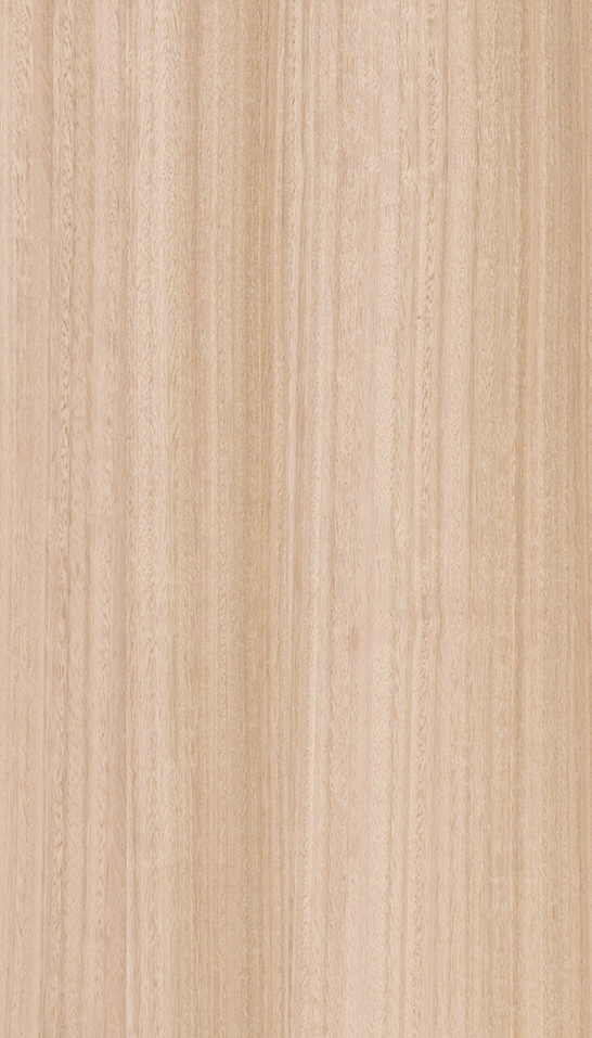 Decorativo AL1 Eucalipto Serene