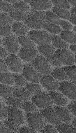 Textura Roble Rigato