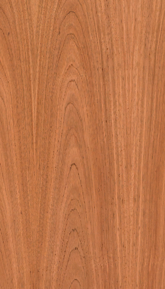 Decorativo Etimoe