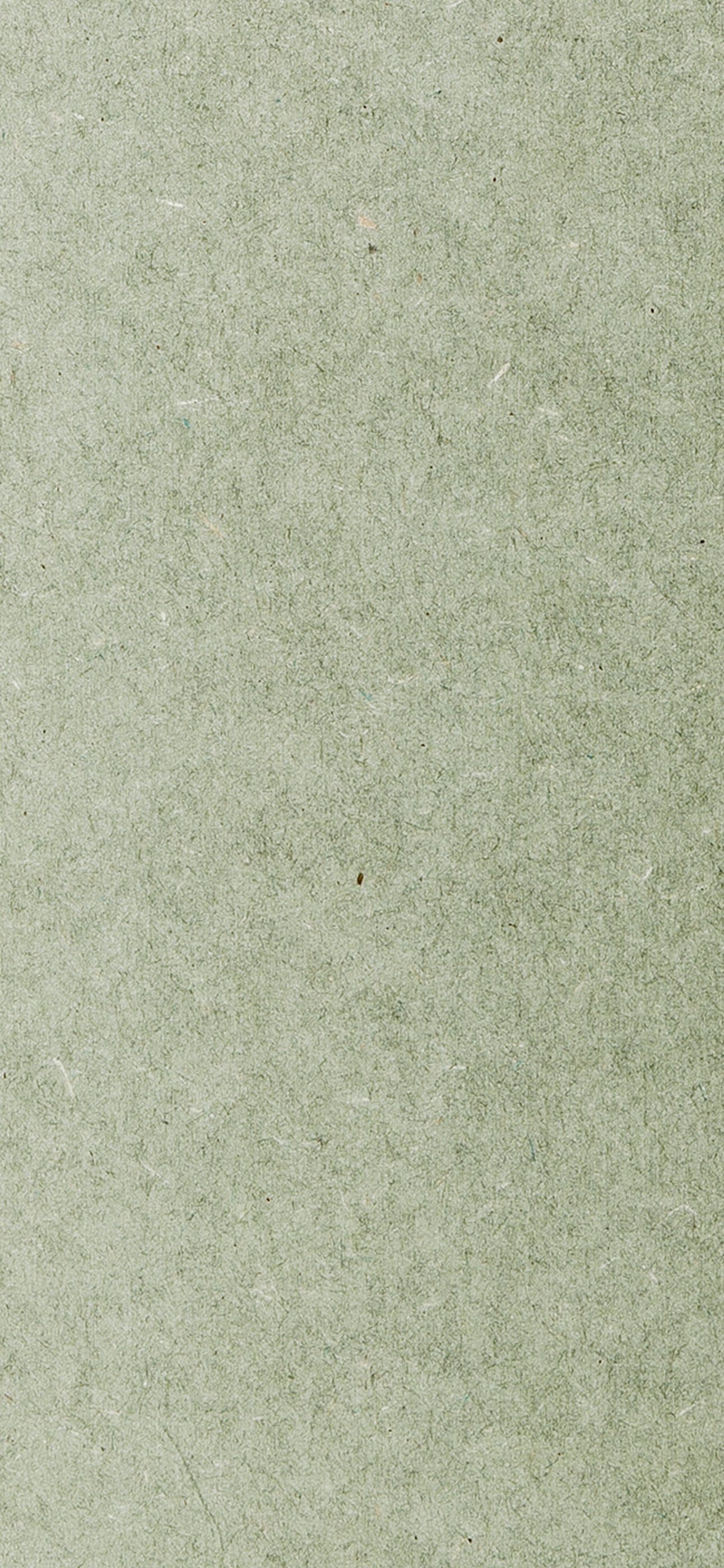 Détail Fibranor FB H (E-Z)