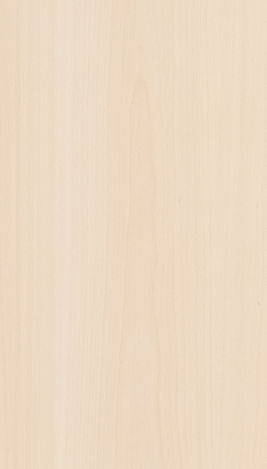 Decorativo Haya blanca
