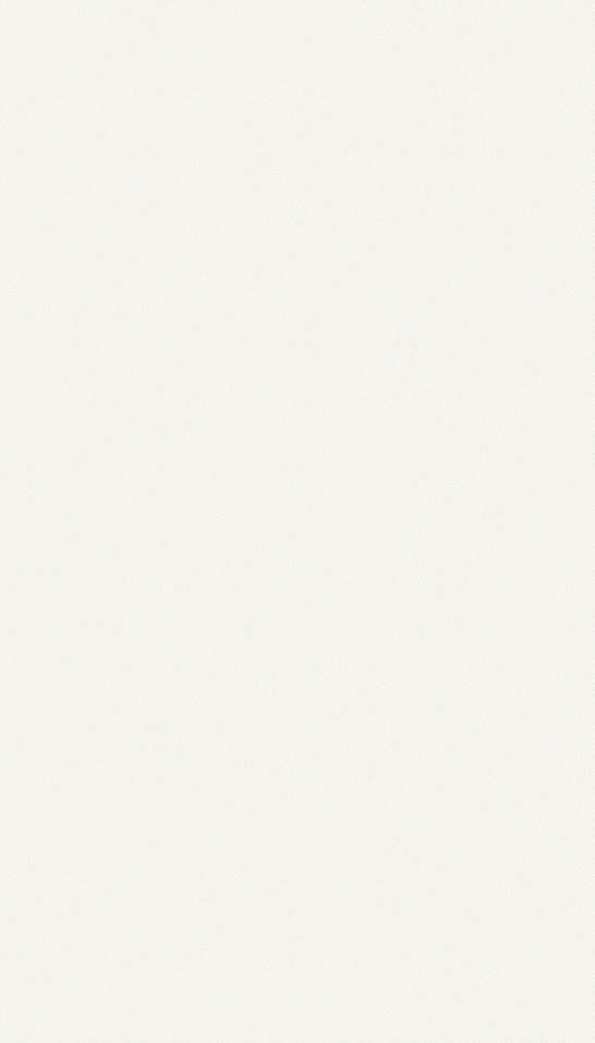 Decorativo LBE Blanco Extra LBE