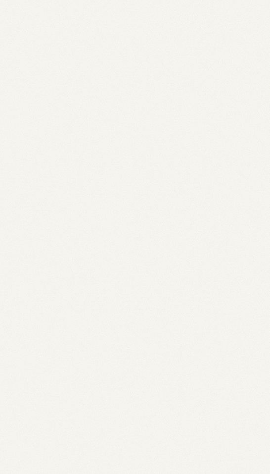 Decorativo LBE Blanco Extra LBE