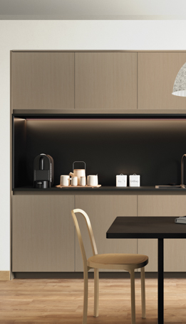 Meio Ambiente Carvalho Grey