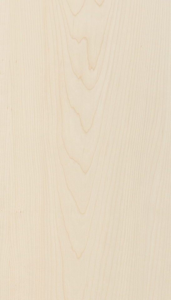 Decorativo Sicomoro