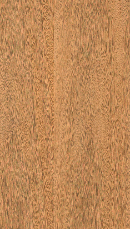 Decorative Sucupira