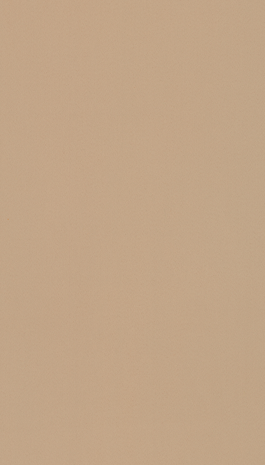 T006 Suede Canela