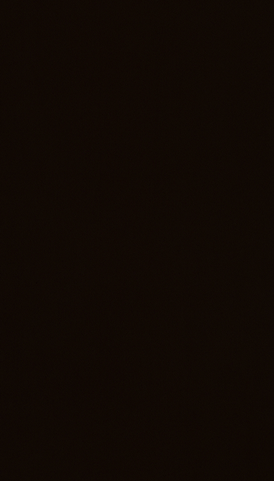 T008 Suede Negro