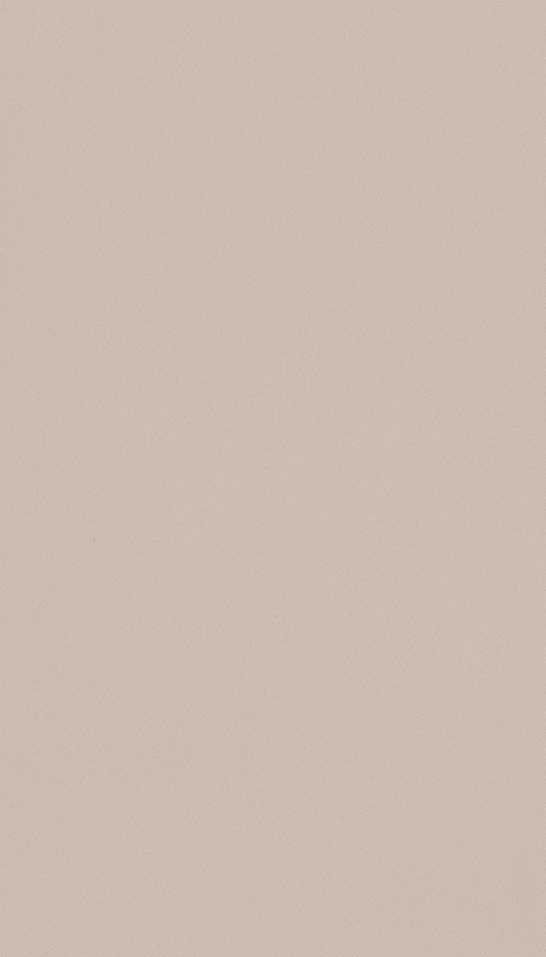 T009 Suede Crudo