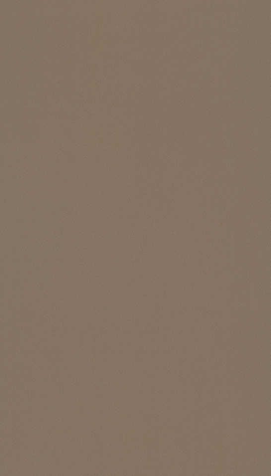 T010 Suede Tierra