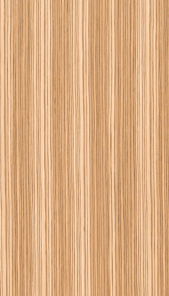 Decorativo Zebrano 7T235
